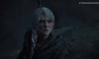 The Witcher 4