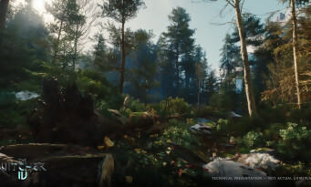 The Witcher 4
