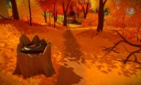 The Witness PS4