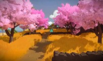 The Witness PS4