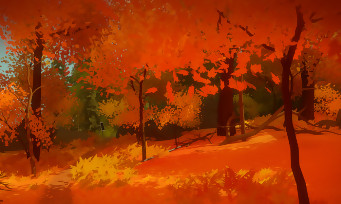 The Witness aussi sur Xbox One ?