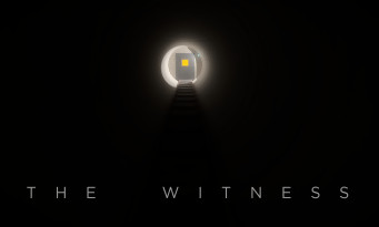 The Witness PS4