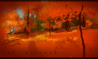 The Witness PS4