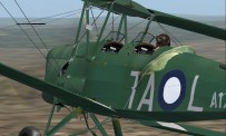 Tiger Moth