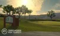 Tiger Woods PGA Tour 11