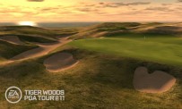 Tiger Woods PGA Tour 11