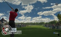 Tiger Woods PGA Tour 11