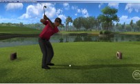 Tiger Woods PGA TOUR Online