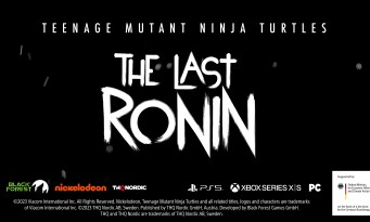 TMNT : The Last Ronin