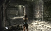 Tomb Raider Anniversary