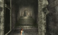 Tomb Raider Anniversary