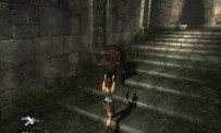 Tomb Raider Anniversary