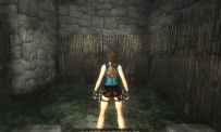 Tomb Raider Anniversary