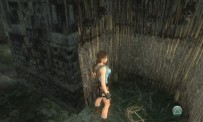 Tomb Raider Anniversary