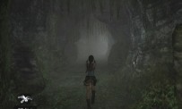 Tomb Raider Anniversary