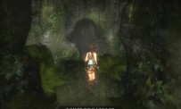 Tomb Raider Anniversary