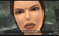 Tomb Raider Anniversary