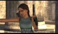 Tomb Raider Anniversary