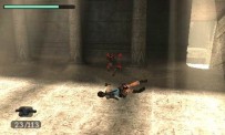 Tomb Raider Anniversary