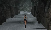 Tomb Raider Anniversary