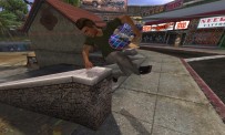 Tony Hawk's American Wasteland