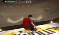 Tony Hawk's American Wasteland