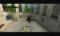 Tony Hawk's American Wasteland