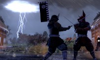 Total War : Shogun 2