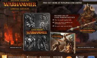 Total War Warhammer