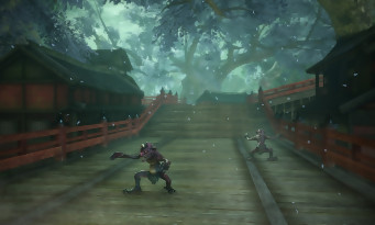 Toukiden 2