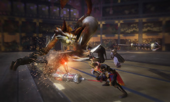 Toukiden Kiwami