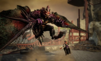 Toukiden Kiwami