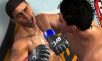 UFC 2009 Undisputed - Techniques