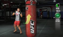 UFC Personal Trainer
