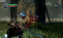 Viking : Battle of Asgard