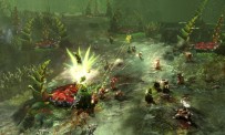 Warhammer 40.000 : Dawn of War II