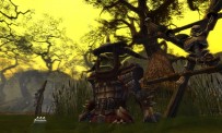 Warhammer Online : Age of Reckoning