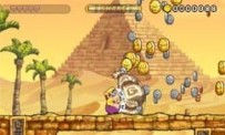 Wario Land : The Shake Dimension