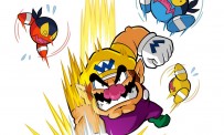 Wario Land : The Shake Dimension