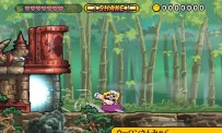 Wario Land : The Shake Dimension