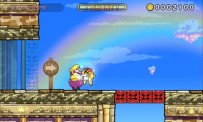 Wario Land : The Shake Dimension