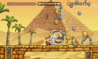 Wario Land : The Shake Dimension