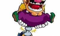 Wario Land : The Shake Dimension