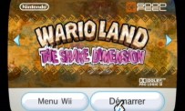 Wario Land : The Shake Dimension