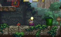 Wario Land : The Shake Dimension