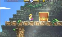 Wario Land : The Shake Dimension