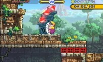 Wario Land : The Shake Dimension