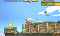 Wario Land : The Shake Dimension