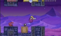 Wario Land : The Shake Dimension