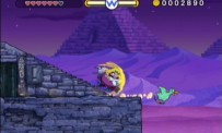 Wario Land : The Shake Dimension